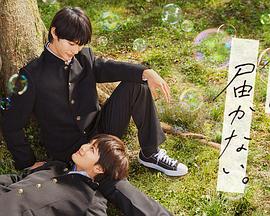 新郑资讯网站搭建优化